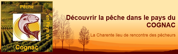 Image pour site
