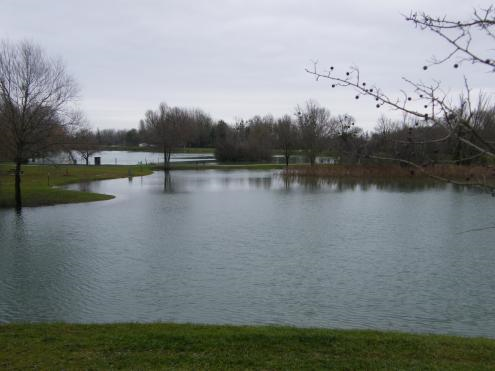 Sans titre etang de l hommee